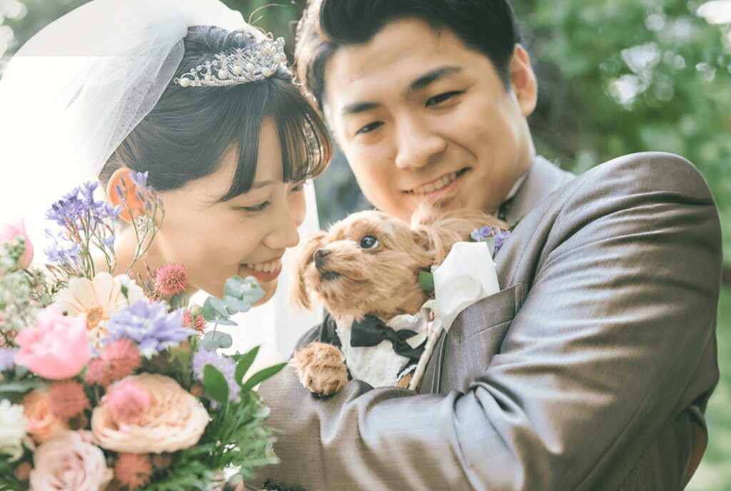 pr紹介文のメイン画像